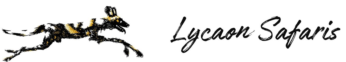 Lycaon Safaris